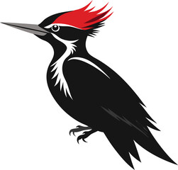 bird animal nature hummingbird wildlife