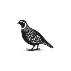 Elegant Quail Vector Silhouette Design – Bold Wildlife Icon Featuring Upright Pose and Distinct Feather Plume, Perfect for Countryside Artwork, Farm Logos, and Woodland Illustration Styles

