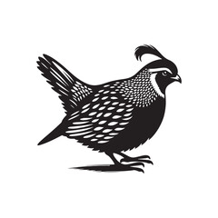 Graceful Quail Silhouette Vector Art – Small Game Bird with Curved Topknot and Rounded Body, Minimalist Black Outline for Rustic Decor, Hunting Themes, and Nature Graphics

