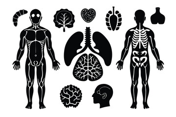 Anatomy and Human Organ Silhouette Set 