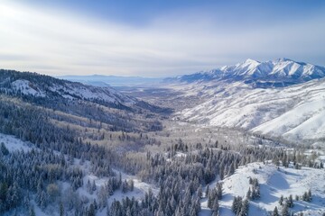 Exploring snowy landscapes above the Wasatch Mountains during winter, Flying over a snow covered forest in the Wasatch Mountains near Salt Lake City, Utah