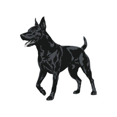 Stylish beagle dog silhouette icon for logos and branding in modern design Vector illustration on white background