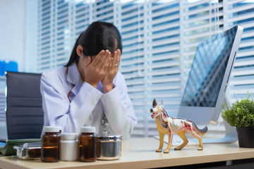 A confident Asian female veterinarian at her animal clinic feels stressed and overwhelmed by office syndrome. Despite dedication, faces moments of sadness and discouragement, struggling with setbacks