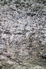 Textured Stone Surface Close Up