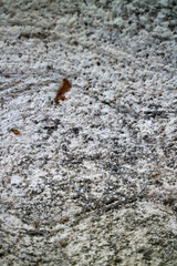 Textured Stone Surface with Natural Patterns