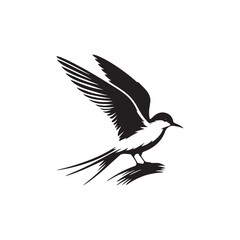 Elegant Tern Vector Silhouette Design – Flying Ocean Bird with Streamlined Body and Pointed Beak, Perfect for Nautical Graphics, Wildlife Prints, Beach Branding, and Minimalist Art