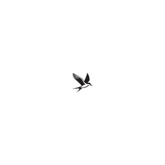 Elegant Tern Vector Silhouette Design – Flying Ocean Bird with Streamlined Body and Pointed Beak, Perfect for Nautical Graphics, Wildlife Prints, Beach Branding, and Minimalist Art