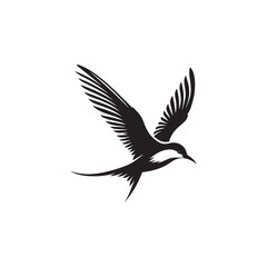Obraz premium Elegant Tern Vector Silhouette Design – Flying Ocean Bird with Streamlined Body and Pointed Beak, Perfect for Nautical Graphics, Wildlife Prints, Beach Branding, and Minimalist Art