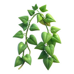 Realistic 3d render of green ivy vine isolated on transparent background