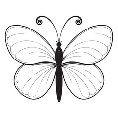 Elegant black and white line art butterfly illustration
