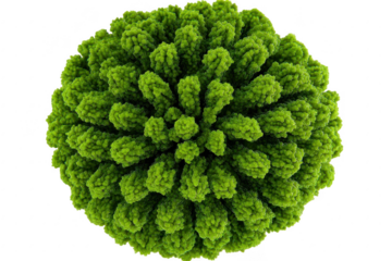 Virus Structure - 3D Model