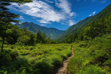 Fototapeta premium A scenic mountain path winds through lush greenery.