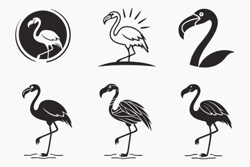 Obraz premium set of flamingos