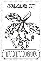 Coloring page for kids learning Jujube fruits