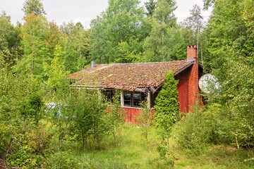 Abandoned house in a lush green forest