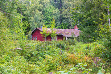 Abandoned house in a green lush forest © Lars Johansson