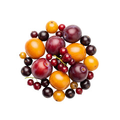 Obraz premium Assortment of fresh plums currants and yellow fruit