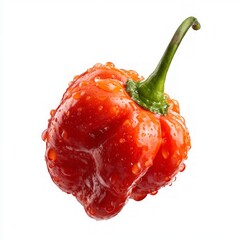 Closeup Of Vibrant Red Chili Pepper With Water Droplets