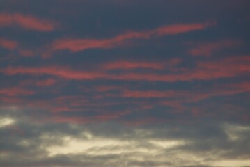 Pink clouds