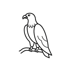 Obraz premium eagle perched on a branch line art