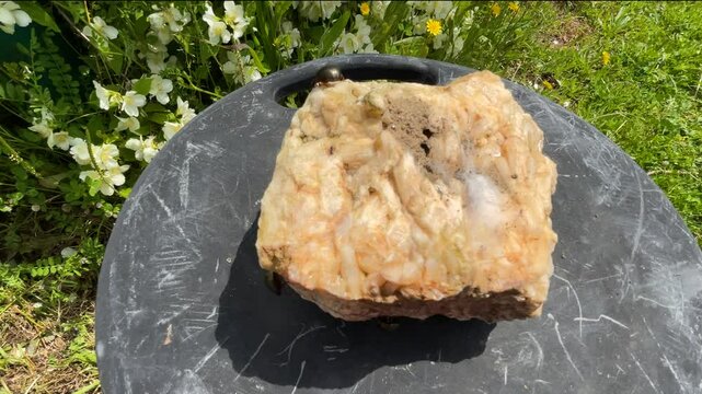 Close-up of golden beetles, an ant, and a spider nest on crystallized quartz over a green-painted wooden post, with a flowering Philadelphus bush in the background on a sunny spring day.