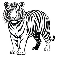 Obraz premium Black And White Tiger Graphic Striped Mammal Wildlife Animal stripes
