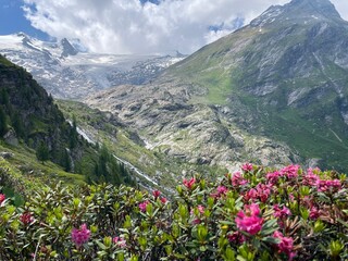 Wanderung Osttirol Schlatenkees 