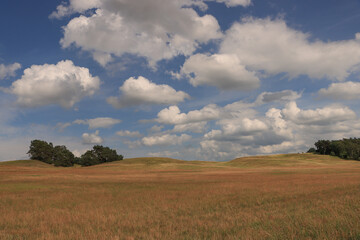 Fototapeta premium Typische, wellige uckermärkische Landschaft bei Kummerow
