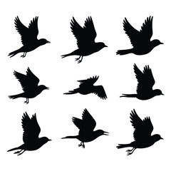 Obraz premium Nine Black Bird Silhouettes in Flight Various Poses Graphic birds