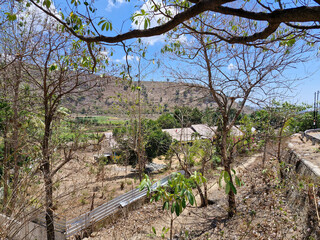 Serene rural landscape with dry trees framing a peaceful countryside view under a bright blue sky