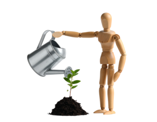 Wooden mannequin waters a small plant with a metal watering can.