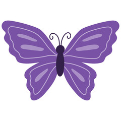 Purple butterfly cartoon illustration 