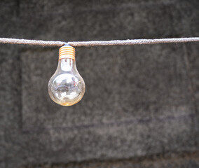 Hanging Vintage Light Bulb on String
