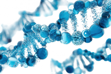 DNA molecules, 3D, science
