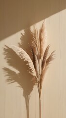  Dried Pampas Grass Against Neutral Wall 