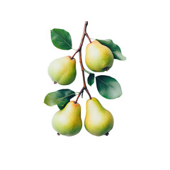 Delicious Pear Branch: A beautifully composed shot of a branch laden with ripe pears, accented by vibrant green leaves. Perfect for conveying freshness and natural goodness.