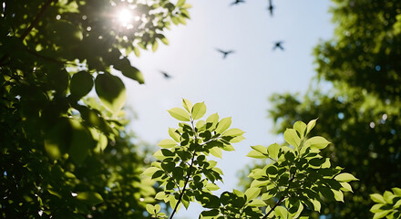 Bright sunlight illuminates lush green tree leaves with birds flying against a clear blue sky, capturing nature's beauty and tranquility.