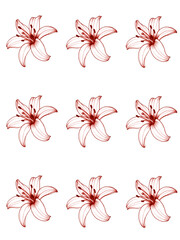 Elegant Red Lily Flower Pattern Nine Exquisite Lilies Design
