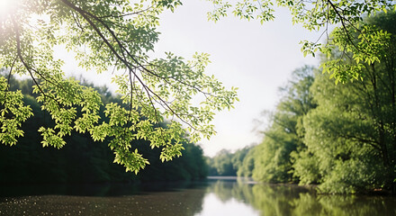 Sunny tranquil river landscape framed by lush green tree branches, with reflections on calm water and bright sky