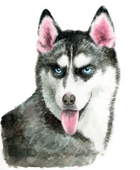 アナログ水彩シベリアンハスキー犬
