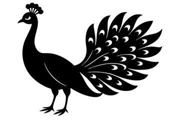 peacock vector illustration