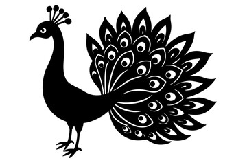 peacock vector illustration