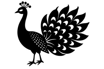 peacock vector illustration