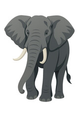 Fototapeta premium elephant 
