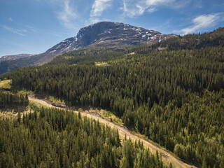 Aerial drone view of a majestic mountain and a gravel road winding through a vast coniferous forest...