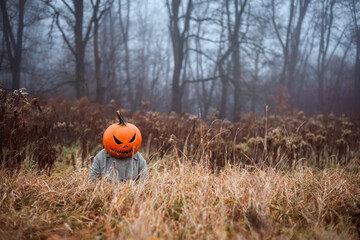 Spooky scarecrow with carved pumpkin head hides in dried tall grass in autumn field with naked foggy forest on background. Halloween concept