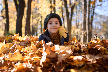 Smiling little boy plays in sunny autumn park covered with golden maple leaves. Joyful fall scene with warm light, seasonal fun, and playful outdoor mood