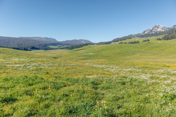 Obraz premium Paysage de montagne