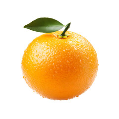 Zesty Orange Citrus: A close-up of a vibrant orange citrus fruit, a single droplet of water on its skin, presenting a refreshing look.