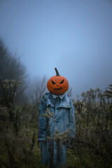 Scarecrow in an old torn cloak with a carved pumpkin head in misty autumn field. Halloween concept